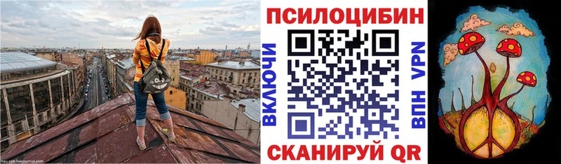 Галлюциногенные грибы Psilocybine cubensis  MEGA   Среднеуральск 